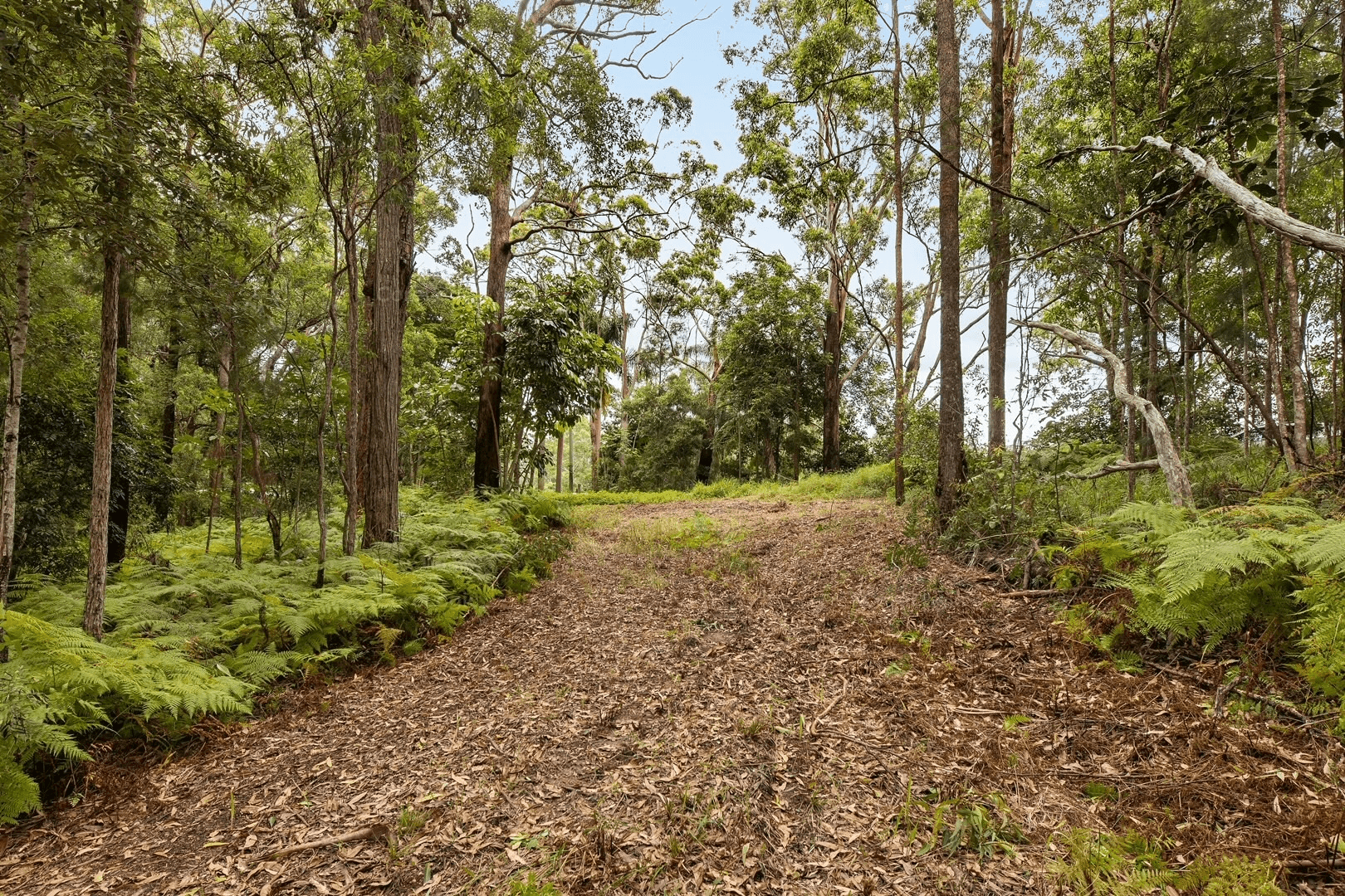 475 Verrierdale Rd, VERRIERDALE, QLD 4562