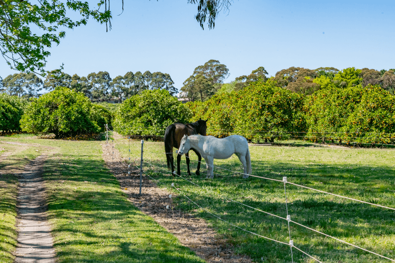 982-988 George Downes Drive, Kulnura, NSW 2250