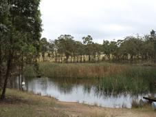 LOT 33 Wellington Vale Road, EMMAVILLE, NSW 2371