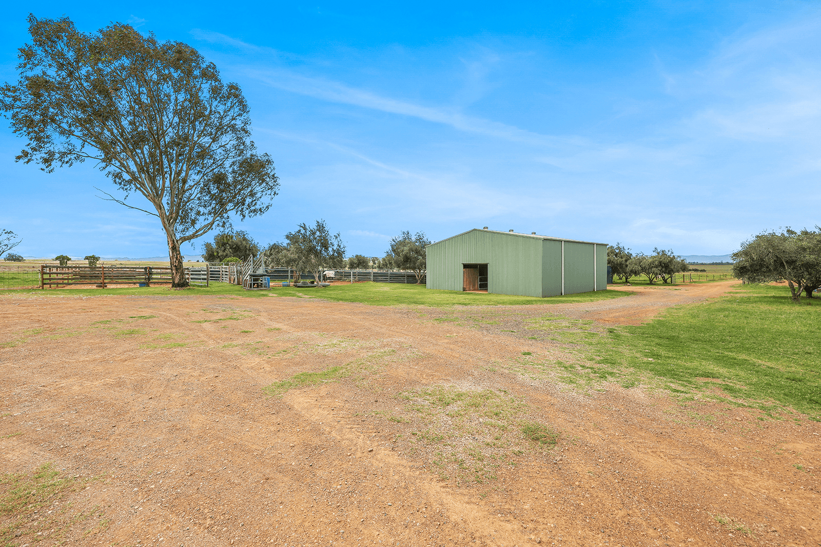 259 Racecourse Road, SOMERTON, NSW 2340