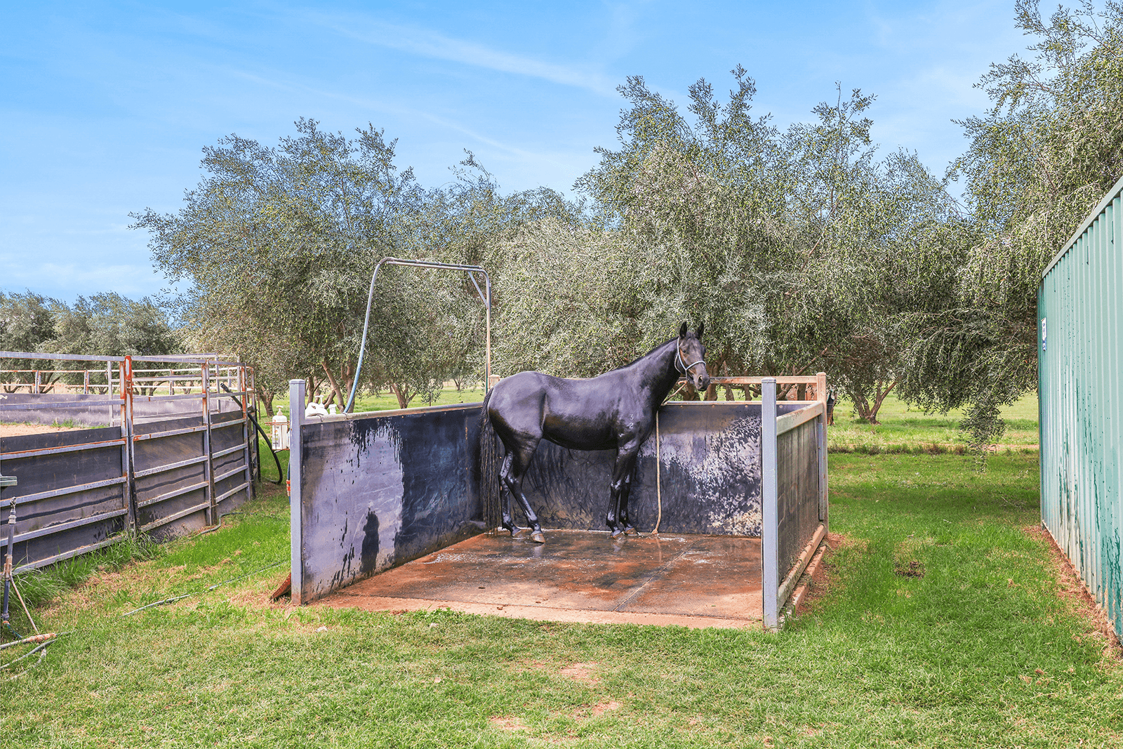 259 Racecourse Road, SOMERTON, NSW 2340