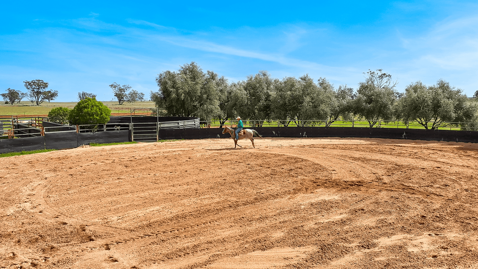 259 Racecourse Road, SOMERTON, NSW 2340