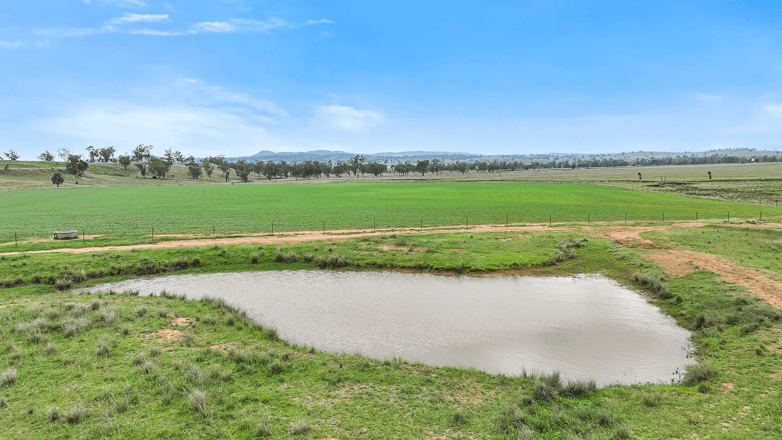 259 Racecourse Road, SOMERTON, NSW 2340