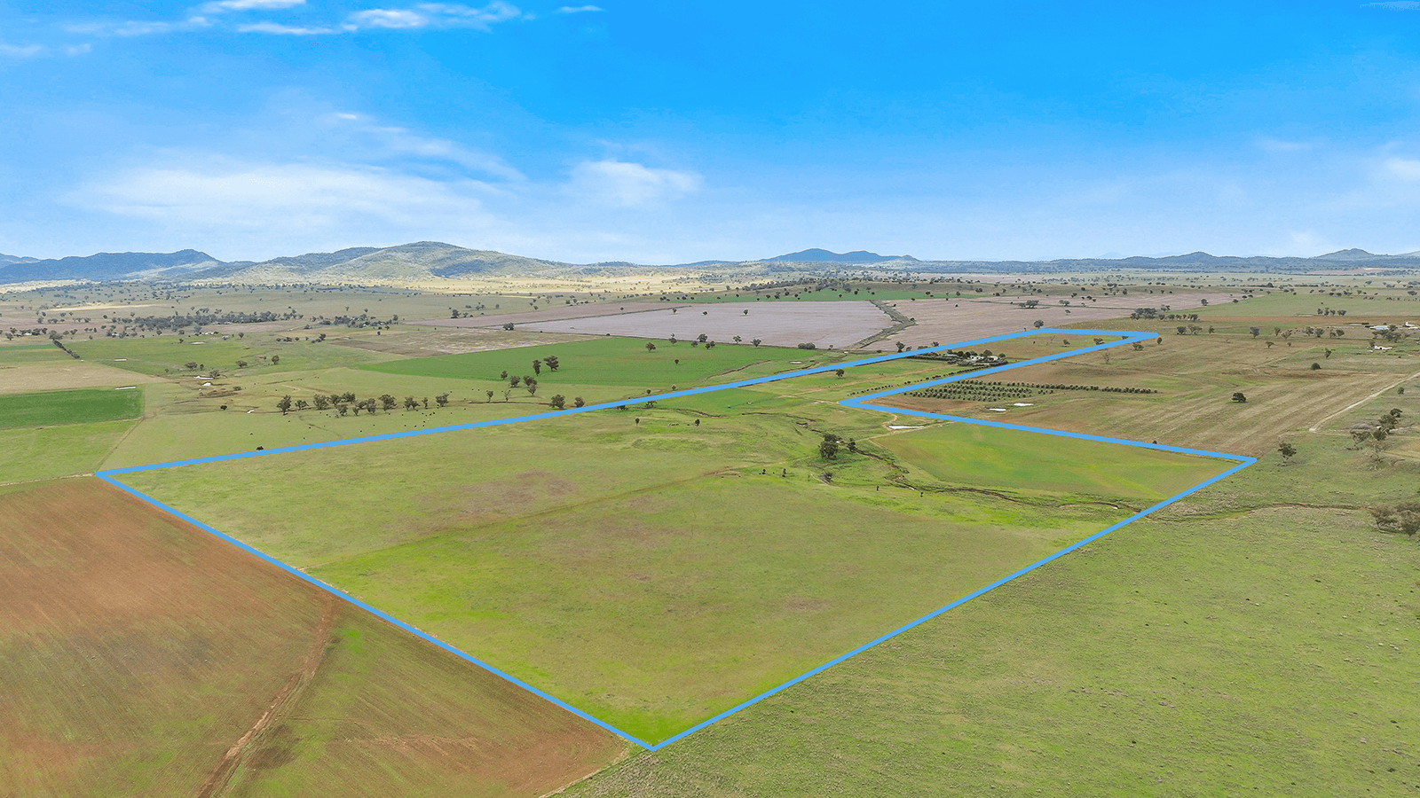 259 Racecourse Road, SOMERTON, NSW 2340