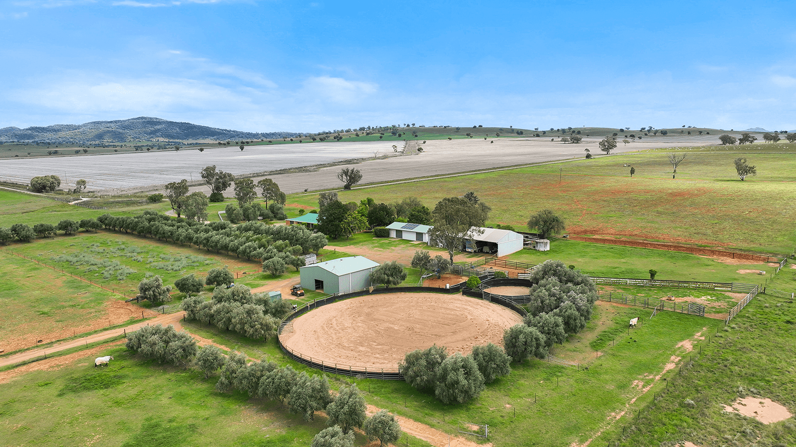 259 Racecourse Road, SOMERTON, NSW 2340