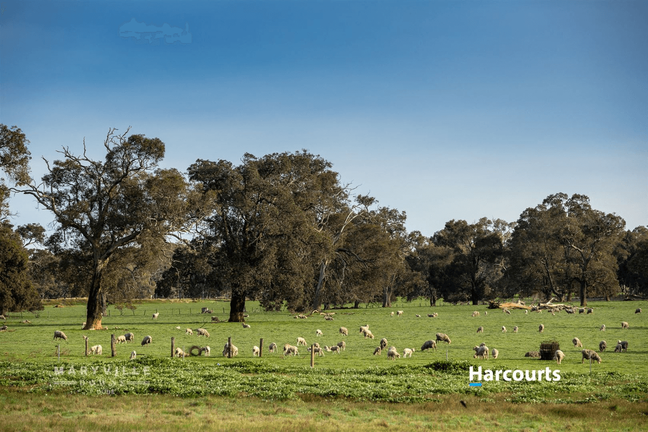 Lot 722 Zebu Road, Lower Chittering, WA 6084