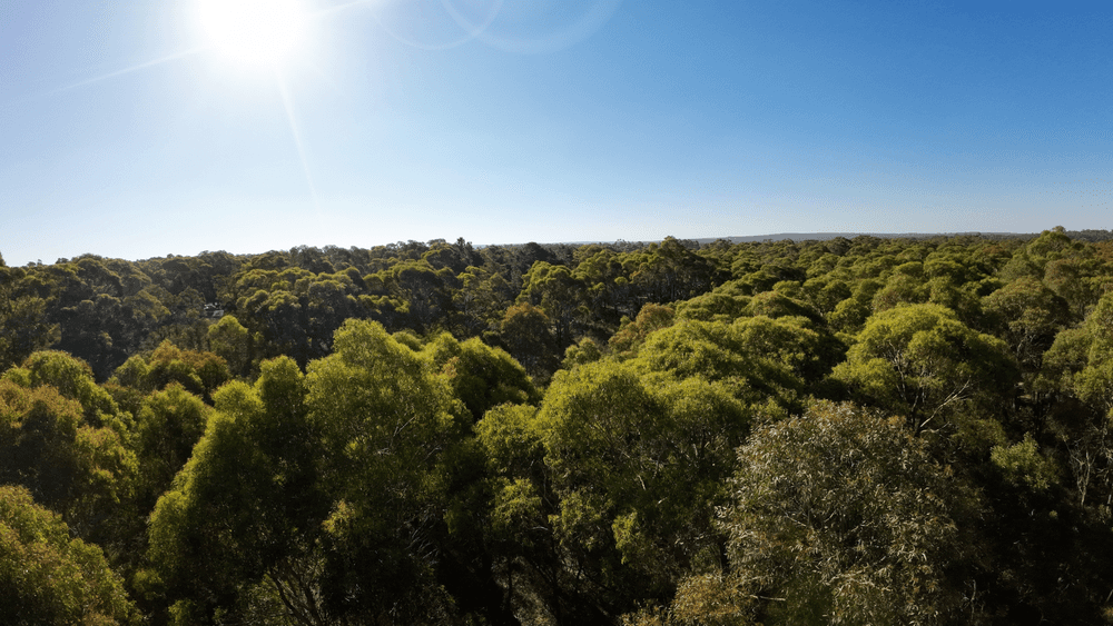 15 & 15A Lemajics Road, Scarsdale, VIC 3351