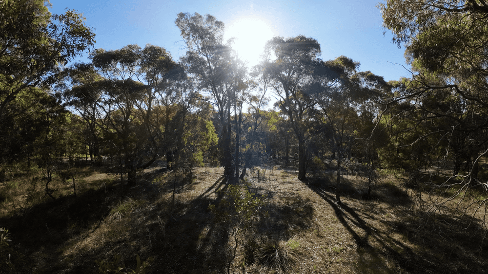 15 & 15A Lemajics Road, Scarsdale, VIC 3351