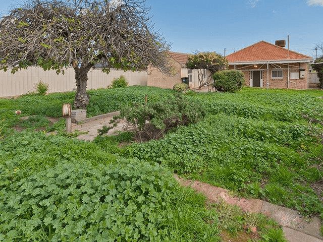 52 The Crescent, BLAIR ATHOL, SA 5084