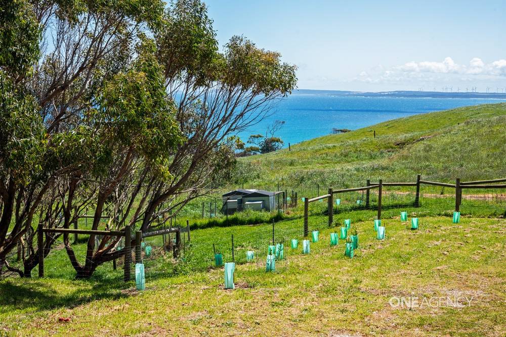 39 Hansons Road, Marrawah, TAS 7330