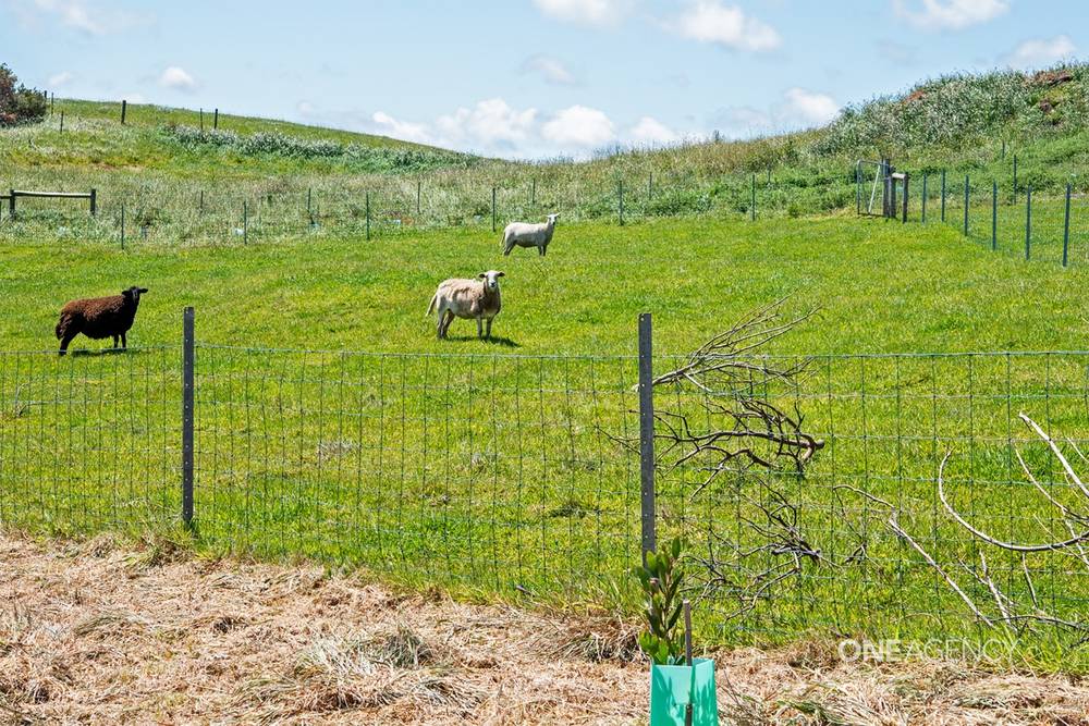 39 Hansons Road, Marrawah, TAS 7330
