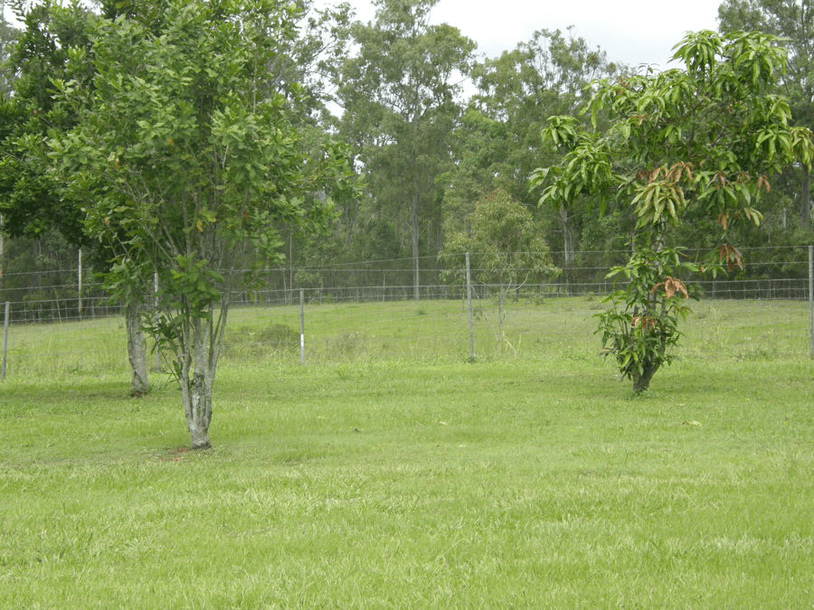 297 Tamaree Road, TAMAREE, QLD 4570