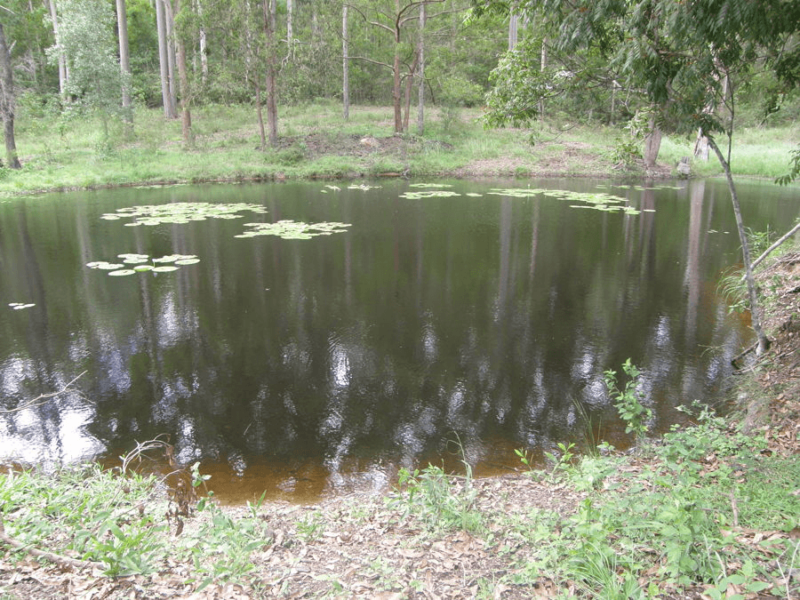297 Tamaree Road, TAMAREE, QLD 4570