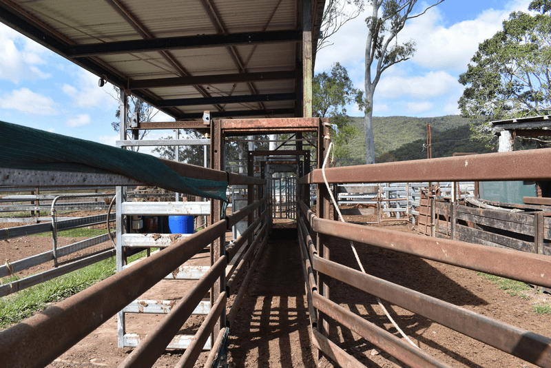 153 RASMUSSENS Road, CLAIRVIEW, QLD 4741