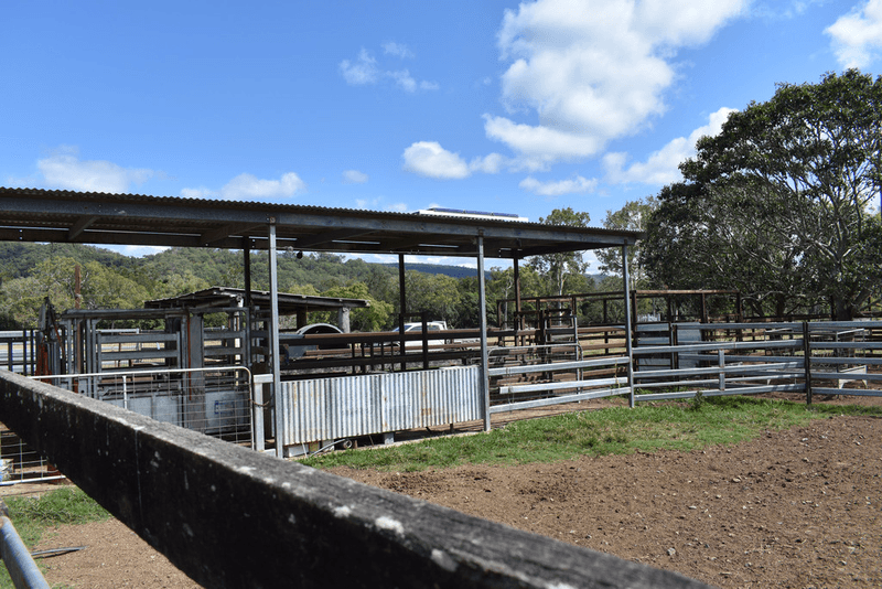 153 RASMUSSENS Road, CLAIRVIEW, QLD 4741