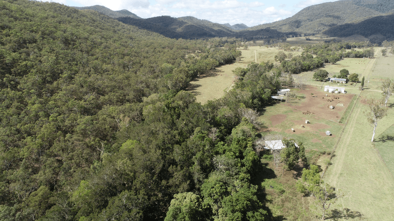 153 RASMUSSENS Road, CLAIRVIEW, QLD 4741