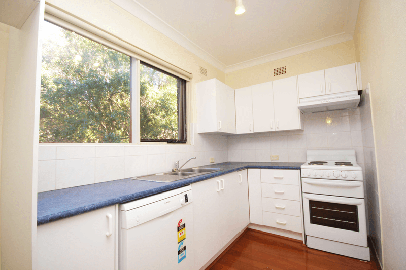 1/55-57 Parkview Road, Russell Lea, NSW 2046