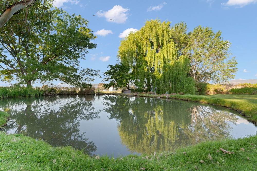 265 Broadhead Road, Mudgee, NSW 2850