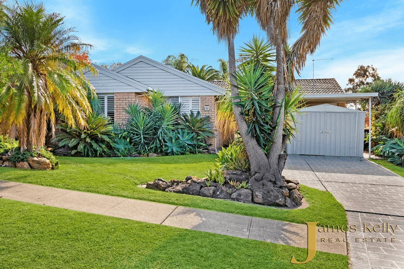 14 Rutherglen Pl, Minchinbury, NSW 2770