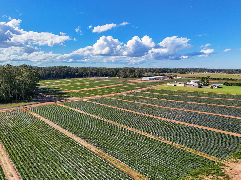 25 Pikes Road, GLASS HOUSE MOUNTAINS, QLD 4518