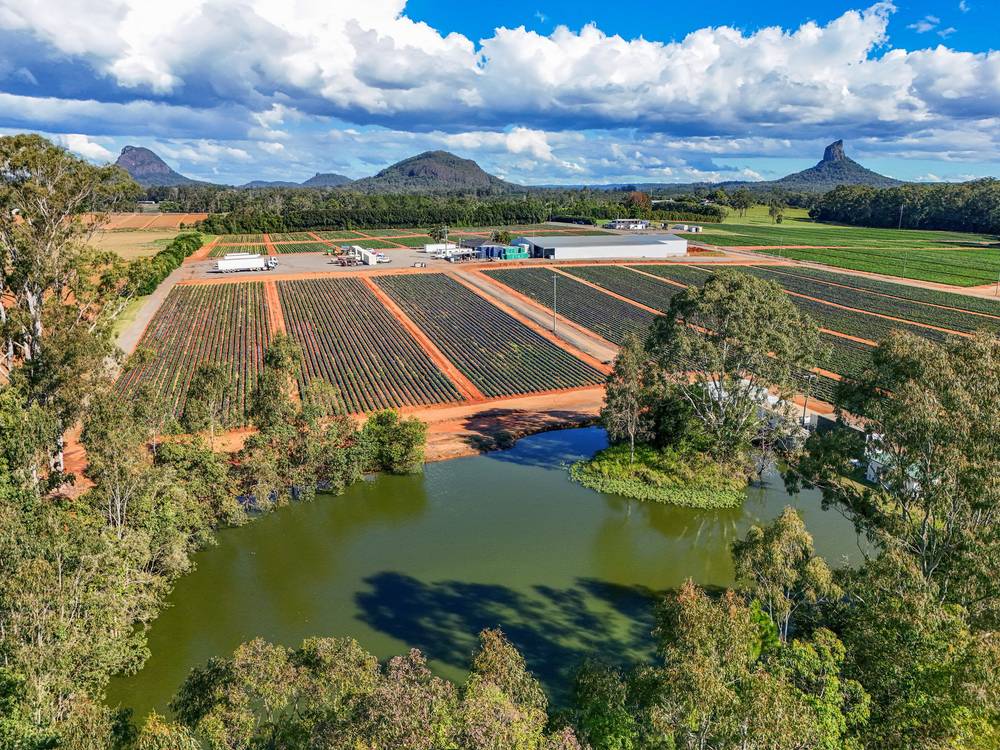 25 Pikes Road, GLASS HOUSE MOUNTAINS, QLD 4518