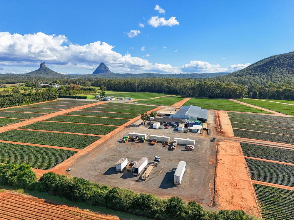 25 Pikes Road, GLASS HOUSE MOUNTAINS, QLD 4518