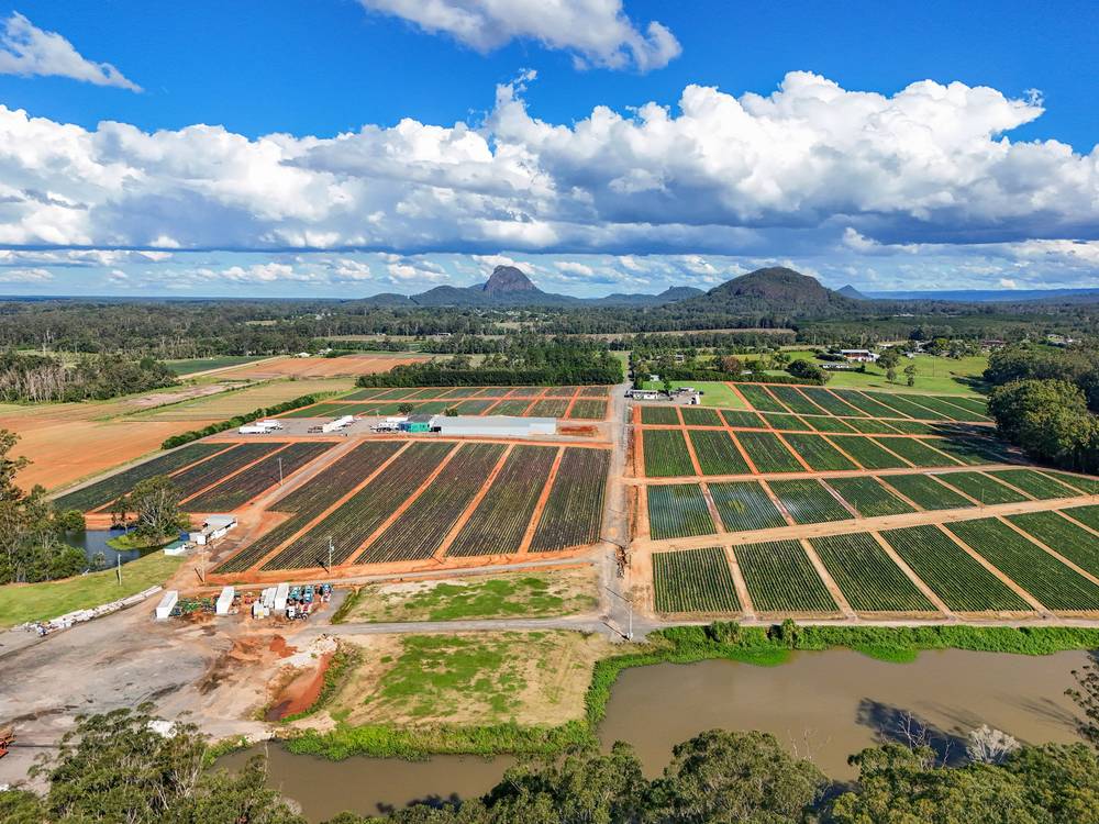 25 Pikes Road, GLASS HOUSE MOUNTAINS, QLD 4518