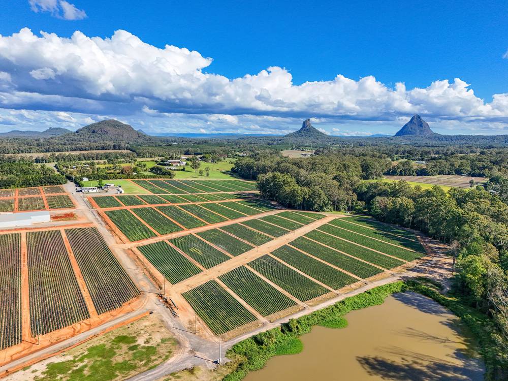 25 Pikes Road, GLASS HOUSE MOUNTAINS, QLD 4518