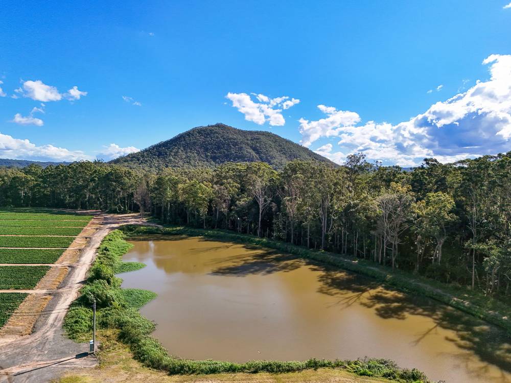 25 Pikes Road, GLASS HOUSE MOUNTAINS, QLD 4518