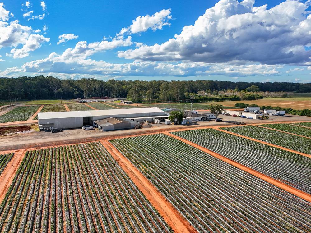 25 Pikes Road, GLASS HOUSE MOUNTAINS, QLD 4518