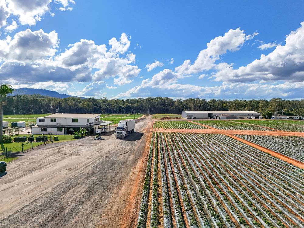 25 Pikes Road, GLASS HOUSE MOUNTAINS, QLD 4518