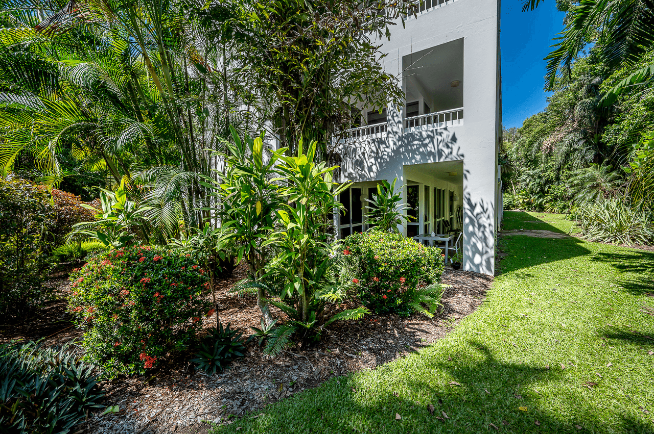 211/305-341 Coral Coast Drive, PALM COVE, QLD 4879