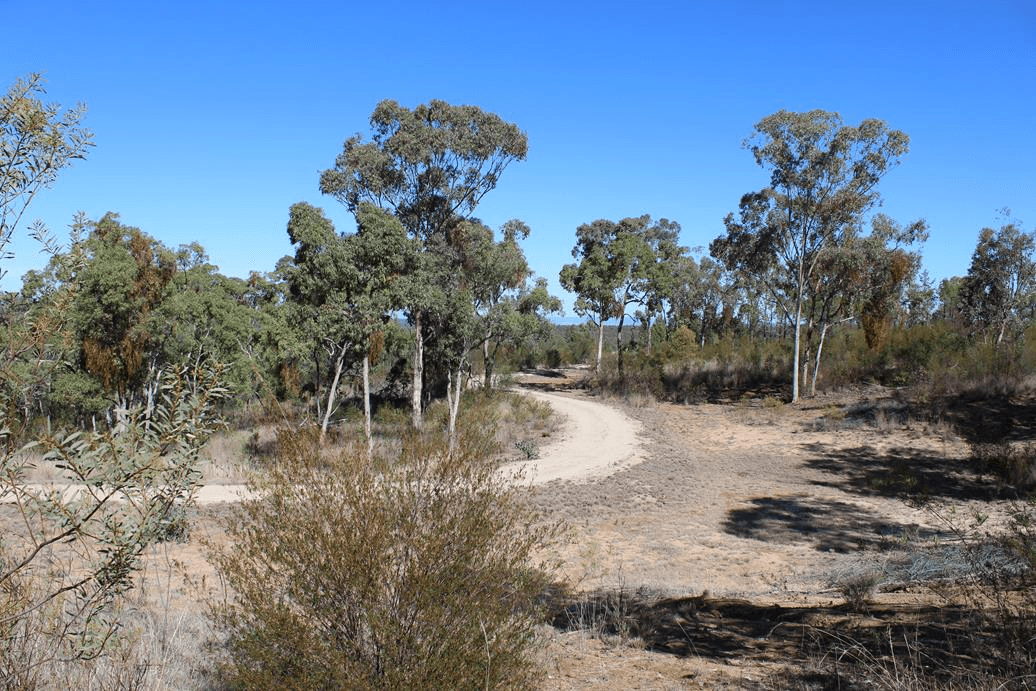 48 Acacia Crescent, WARIALDA, NSW 2402