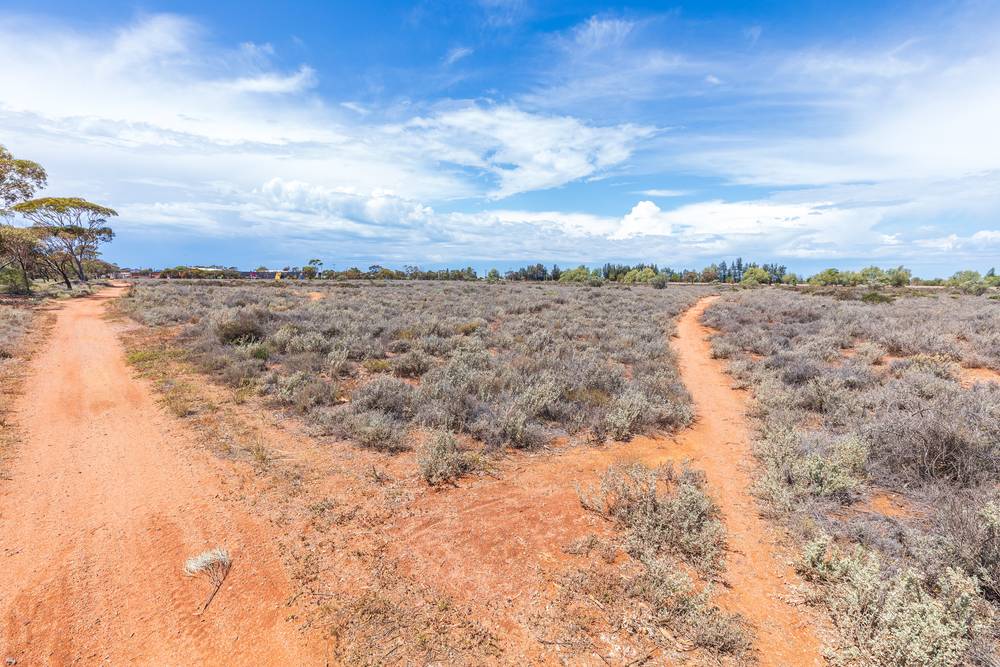 Kloeden Street, Whyalla Norrie, SA 5608