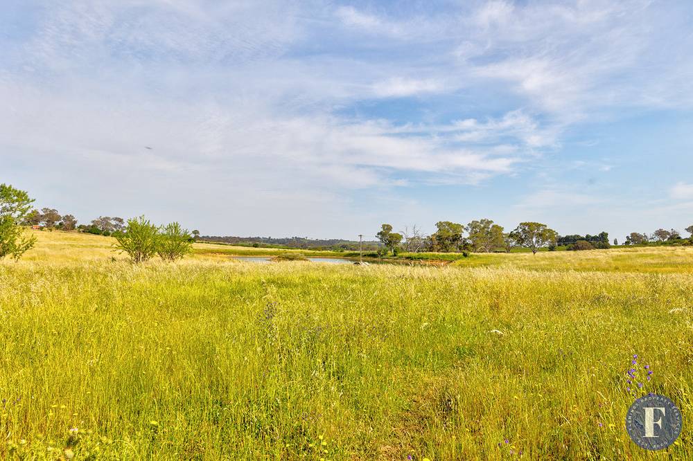 6 Campbells, Road, Young, NSW 2594