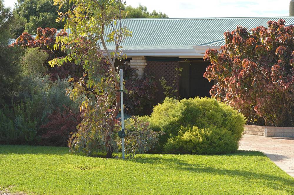 3 Gannet Way, Jurien Bay, WA 6516