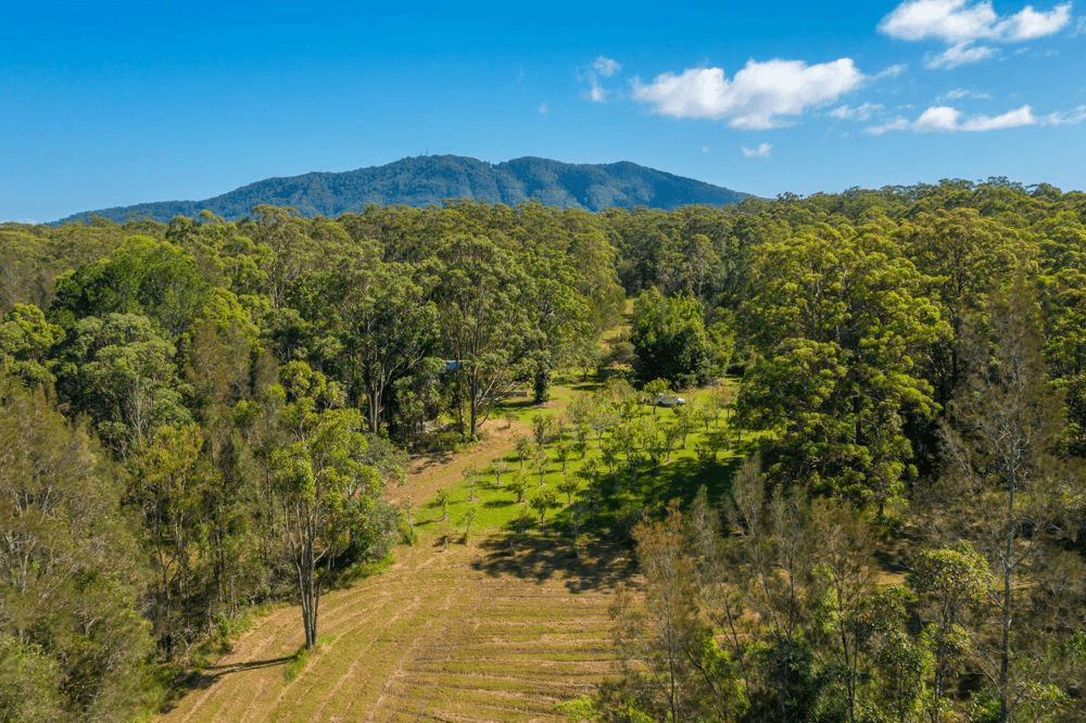 132 Stuarts Point, BARRAGANYATTI, NSW 2441