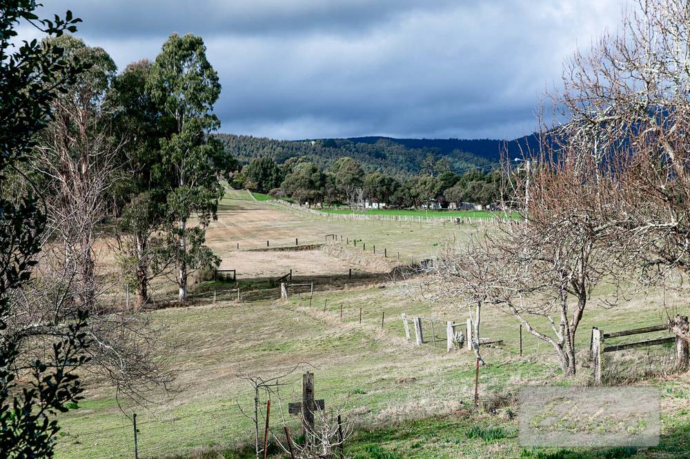 239 North Lilydale Road, North Lilydale, TAS 7268