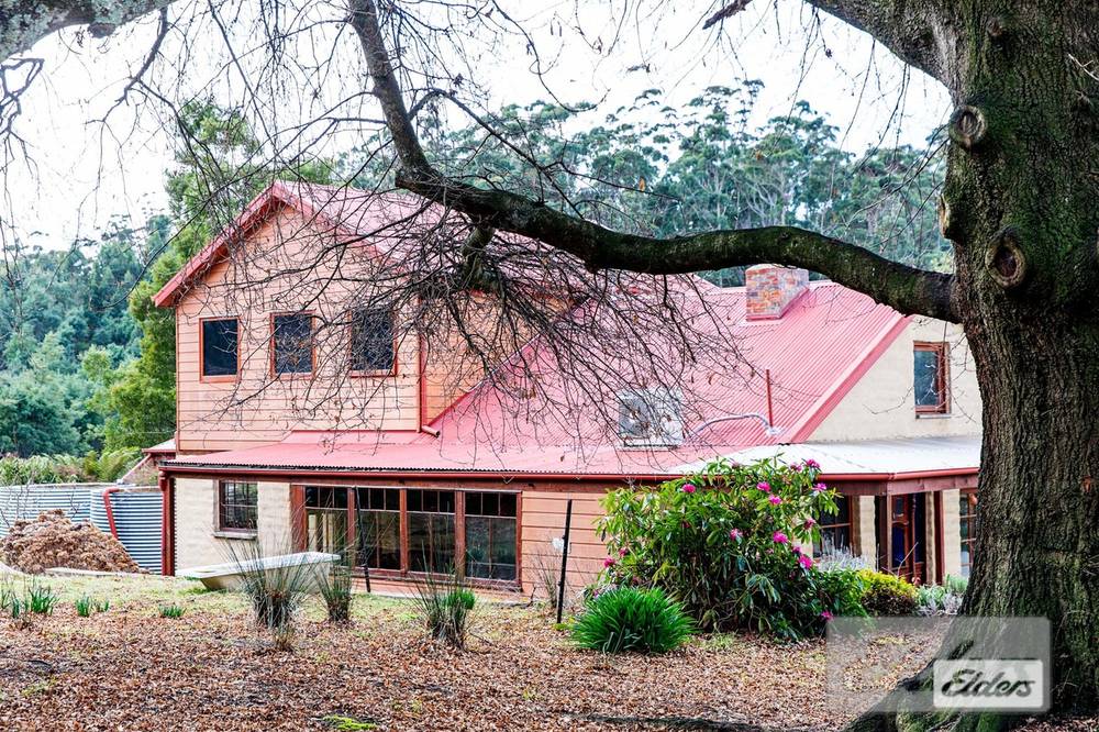 239 North Lilydale Road, North Lilydale, TAS 7268