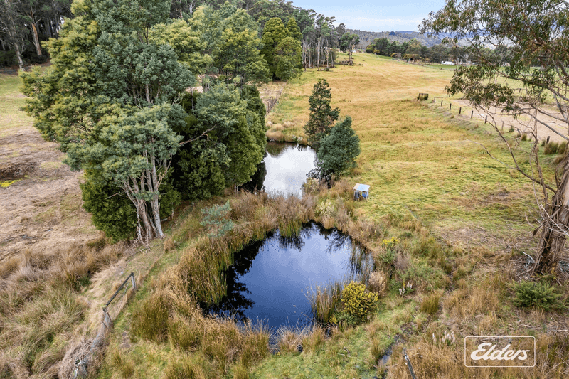 239 North Lilydale Road, North Lilydale, TAS 7268