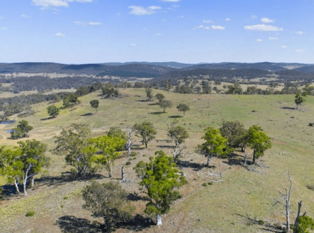 1831 Taralga Road, TARLO, NSW 2580