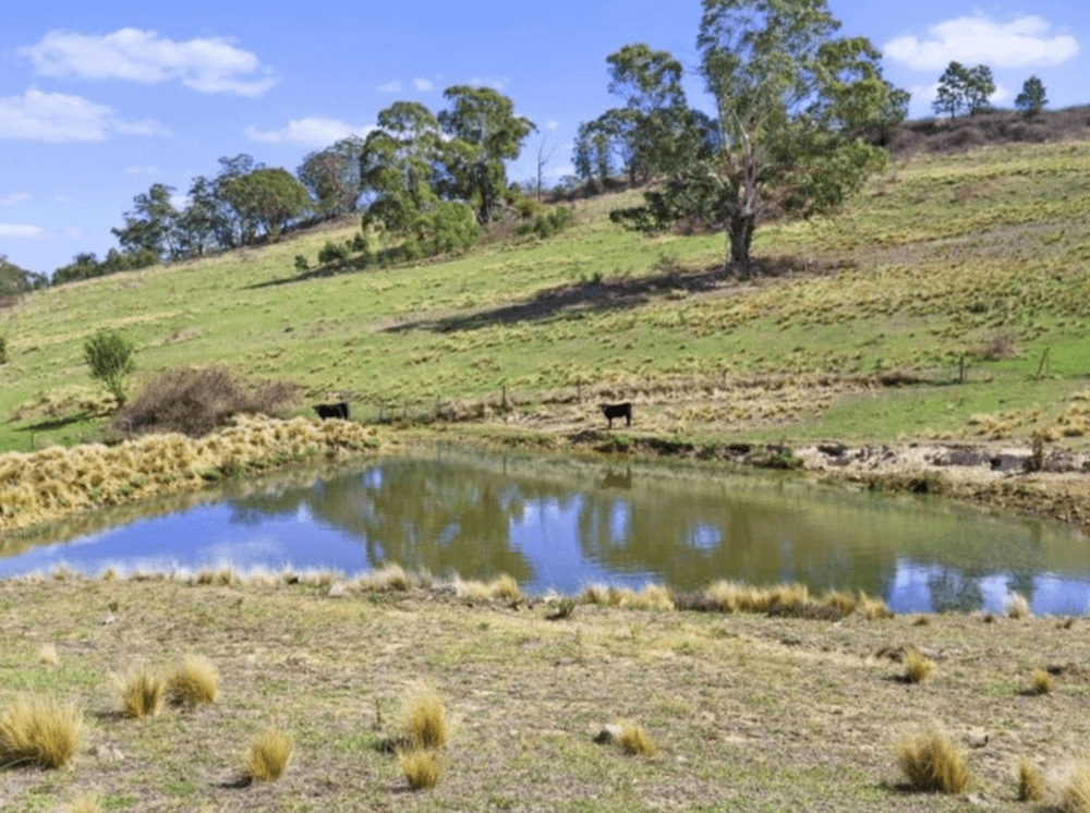 1831 Taralga Road, TARLO, NSW 2580