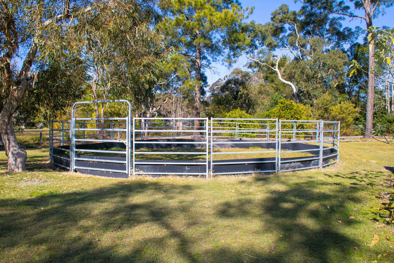 5 Barrie Close, WILLIAMTOWN, NSW 2318