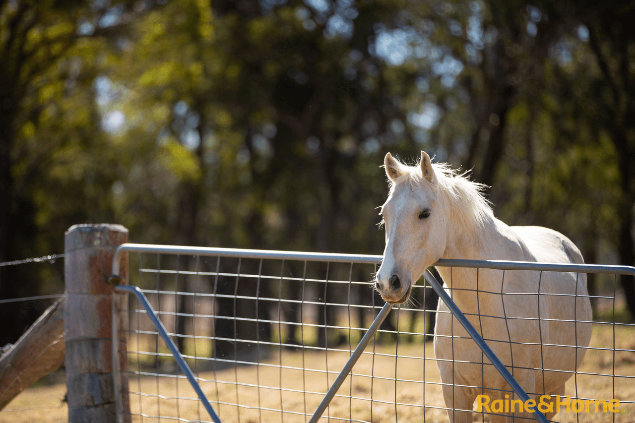 277 Lil Vale Road, RED RANGE, NSW 2370