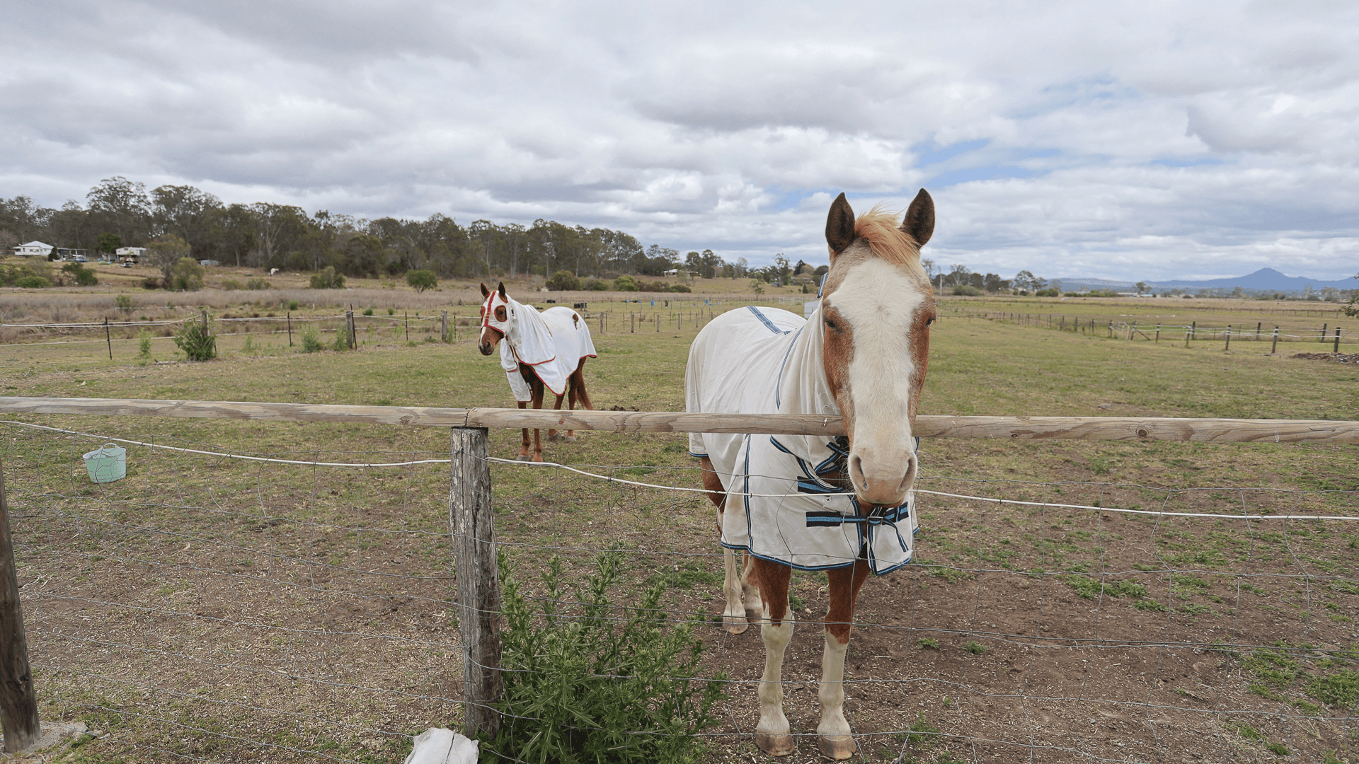 42-48 Malabar Road, VERESDALE, QLD 4285