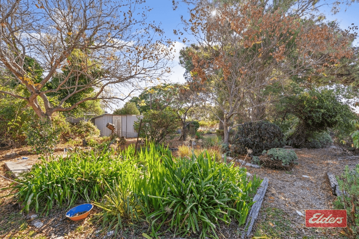 12 Church Street, Freeling, SA 5372