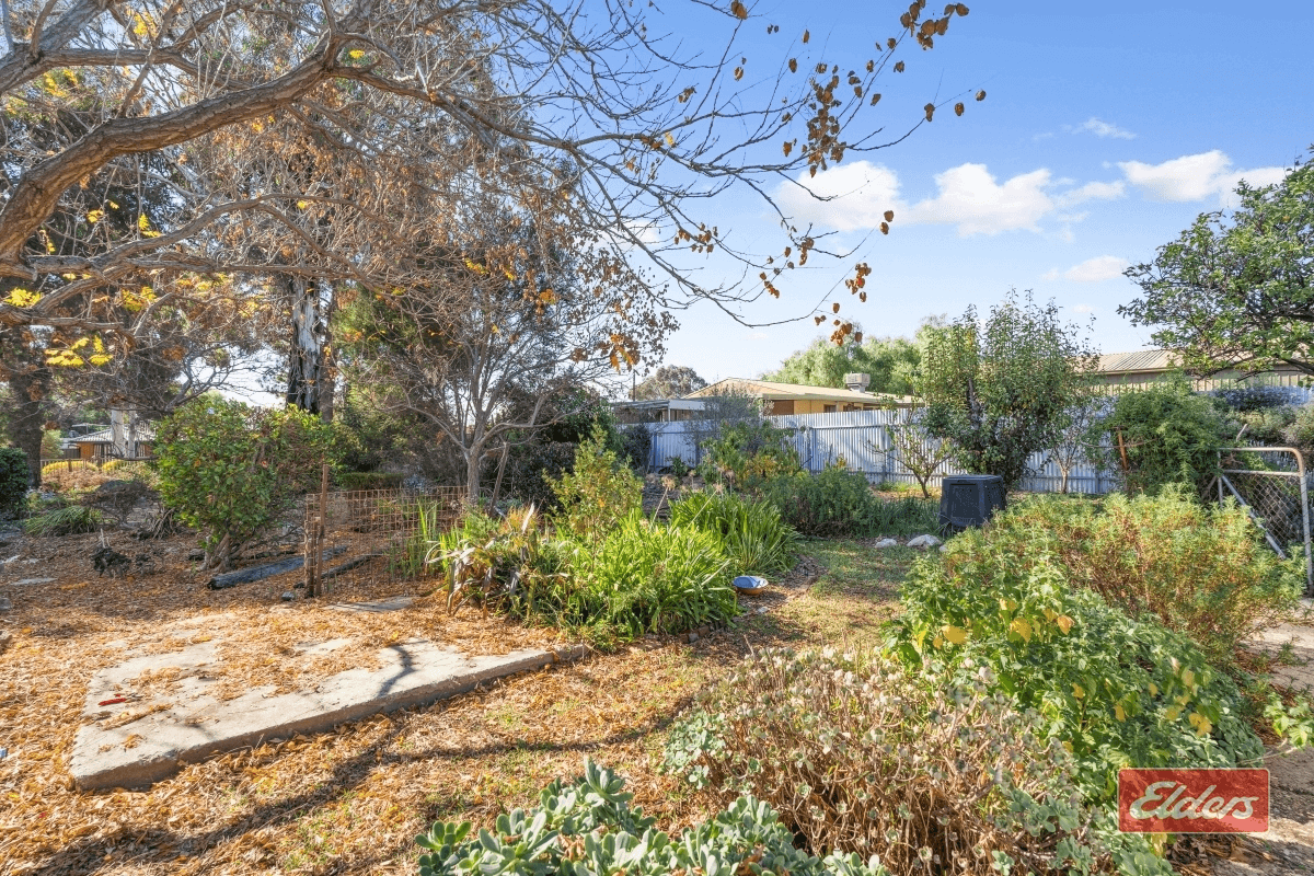 12 Church Street, Freeling, SA 5372