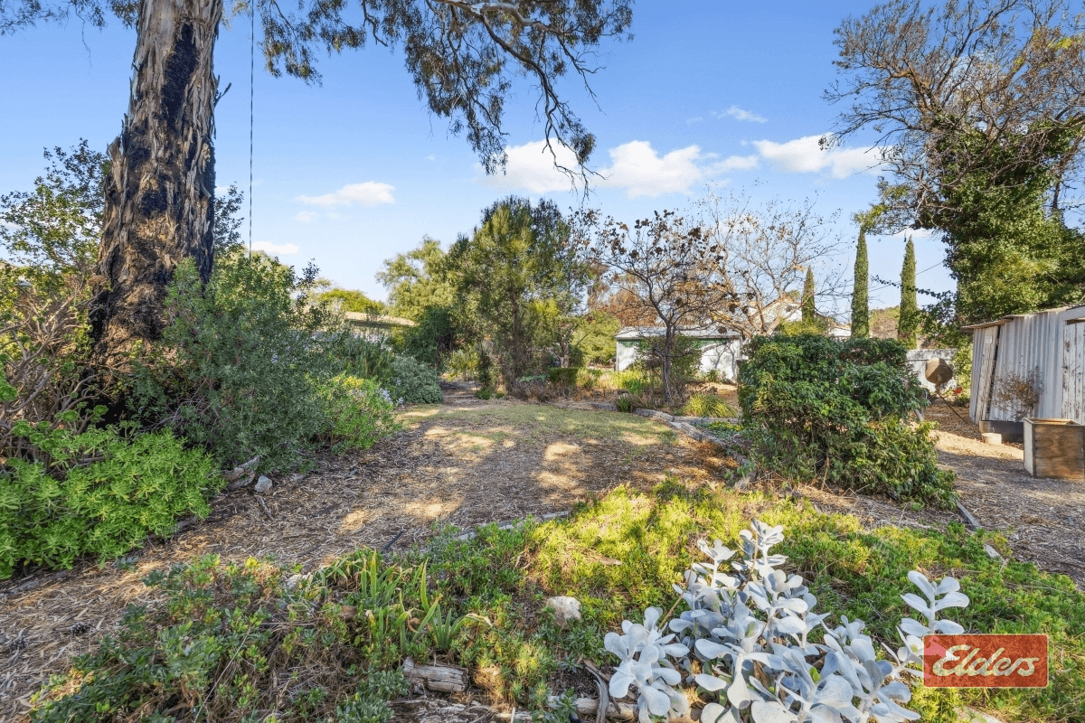 12 Church Street, Freeling, SA 5372