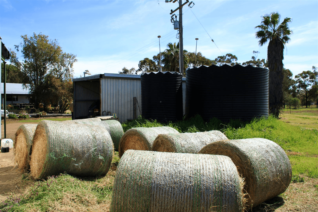 145 Old Gunnedah Road, NARRABRI, NSW 2390