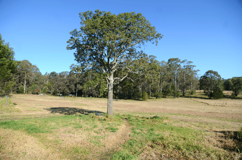 20-22 Nangutta St, Towamba, NSW 2550